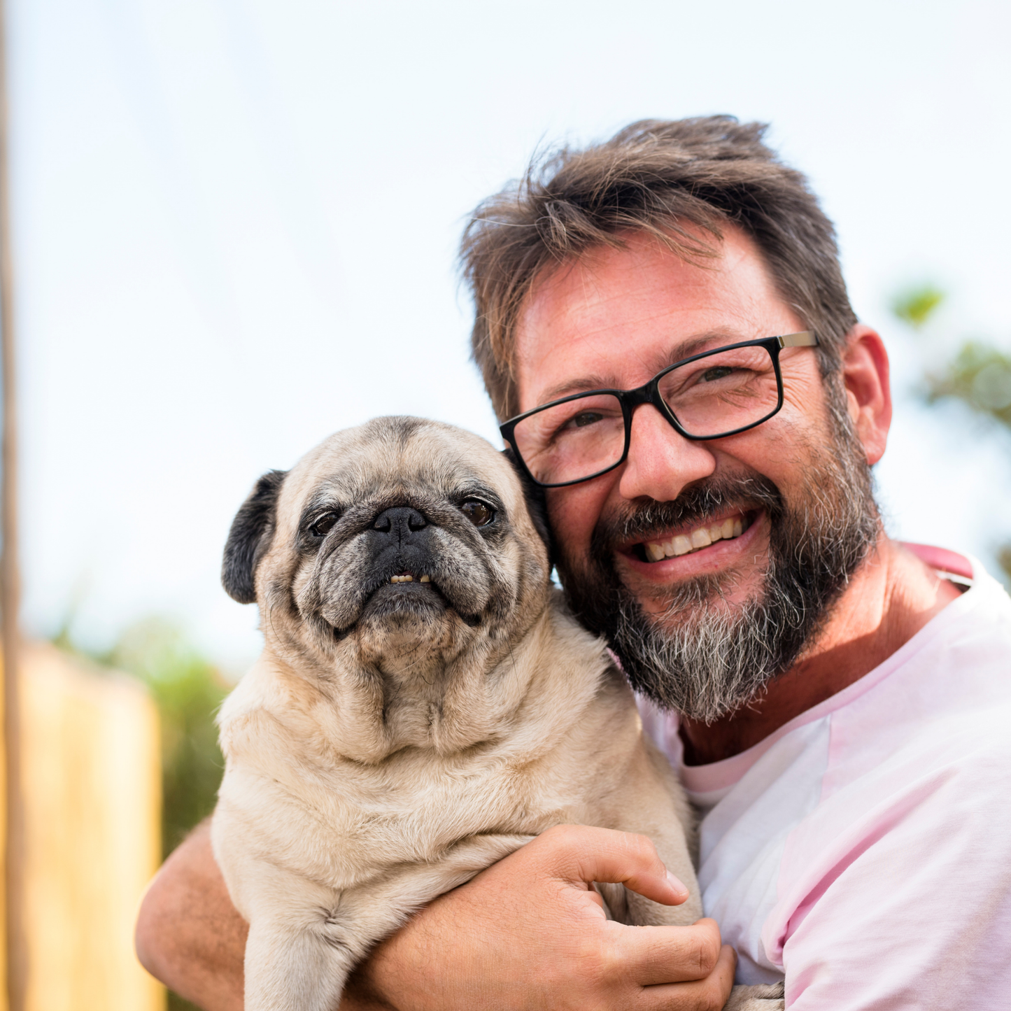 Emotional Support Animal Certification