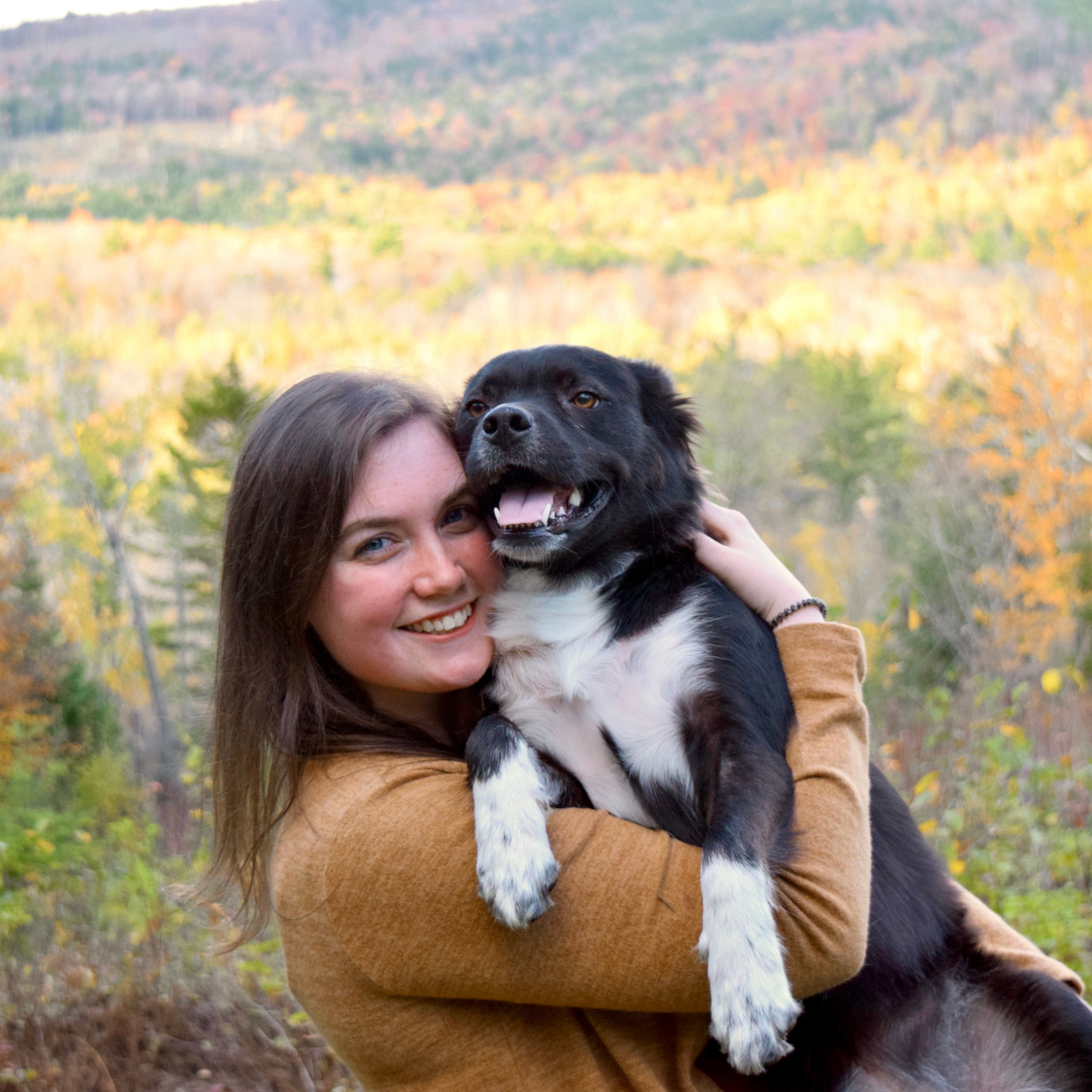 Emotional Support Animal Certification
