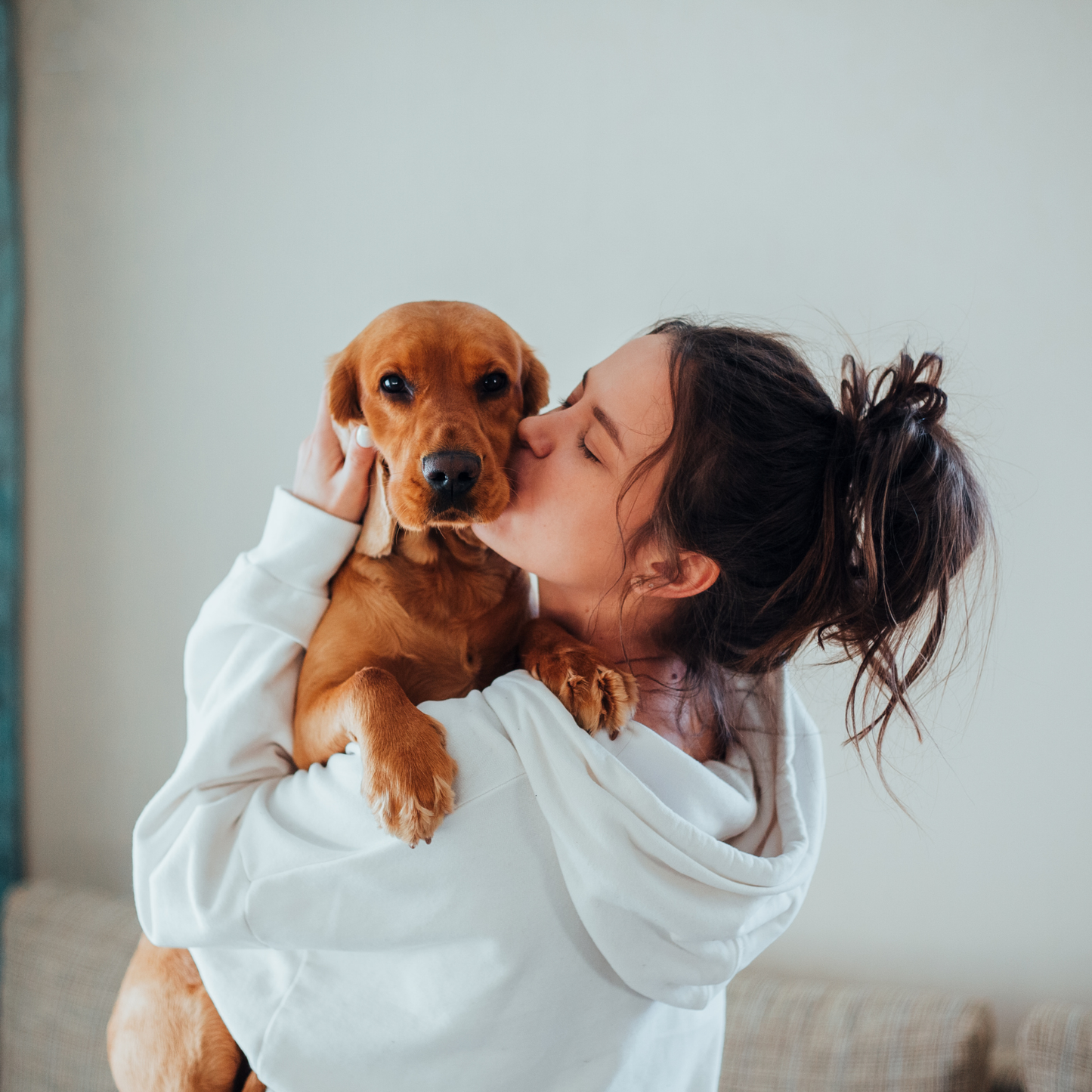 Emotional Support Animal Certification