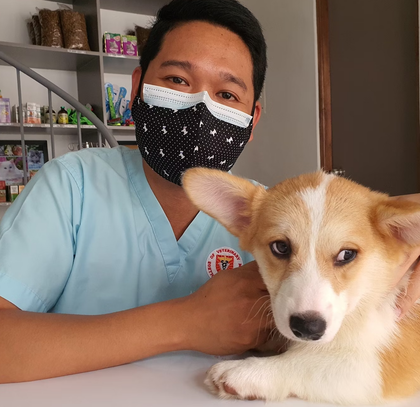 Emotional Support Animal Certification