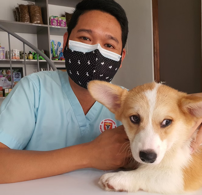 Emotional Support Animal Certification