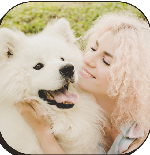 Emotional Support Animal Certification